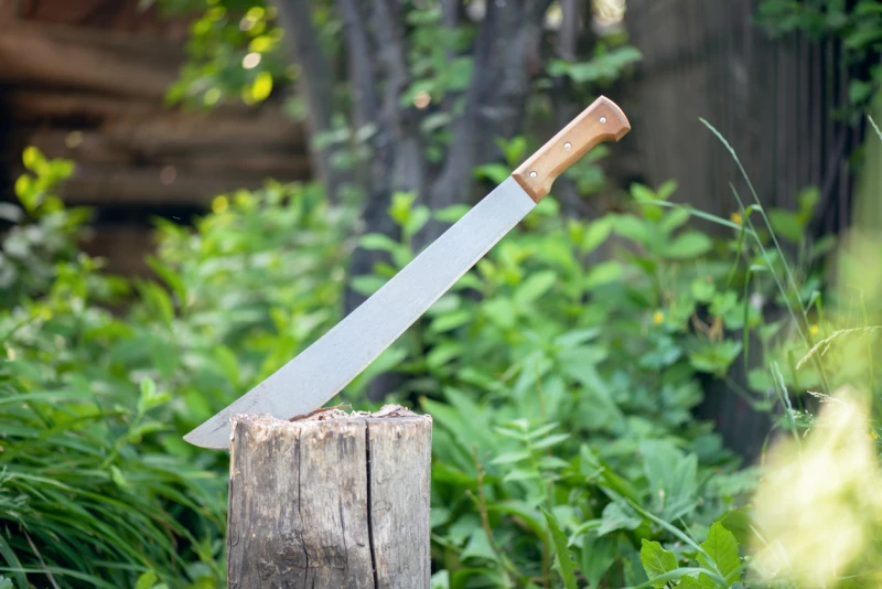 Sind der Besitz und das Mitführen einer Machete legal?